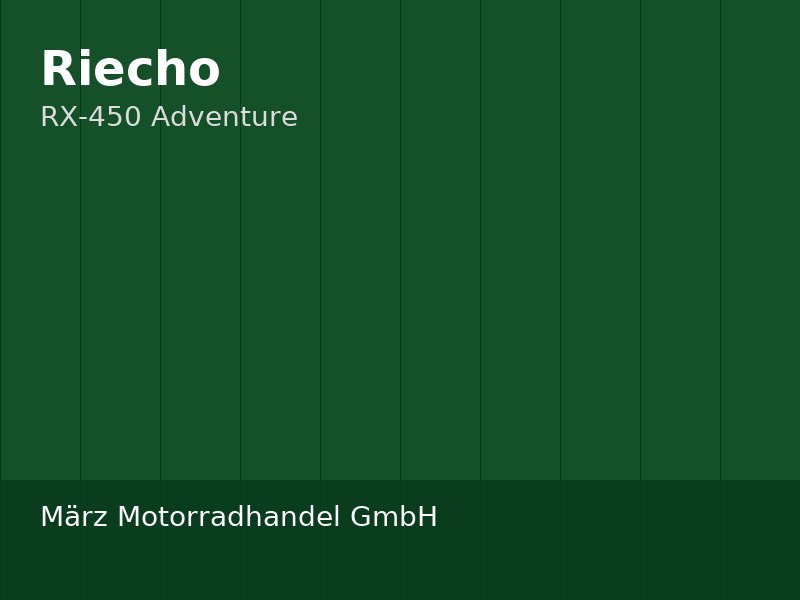 [RIE-RX450] Riecho RX-450 Adventure
